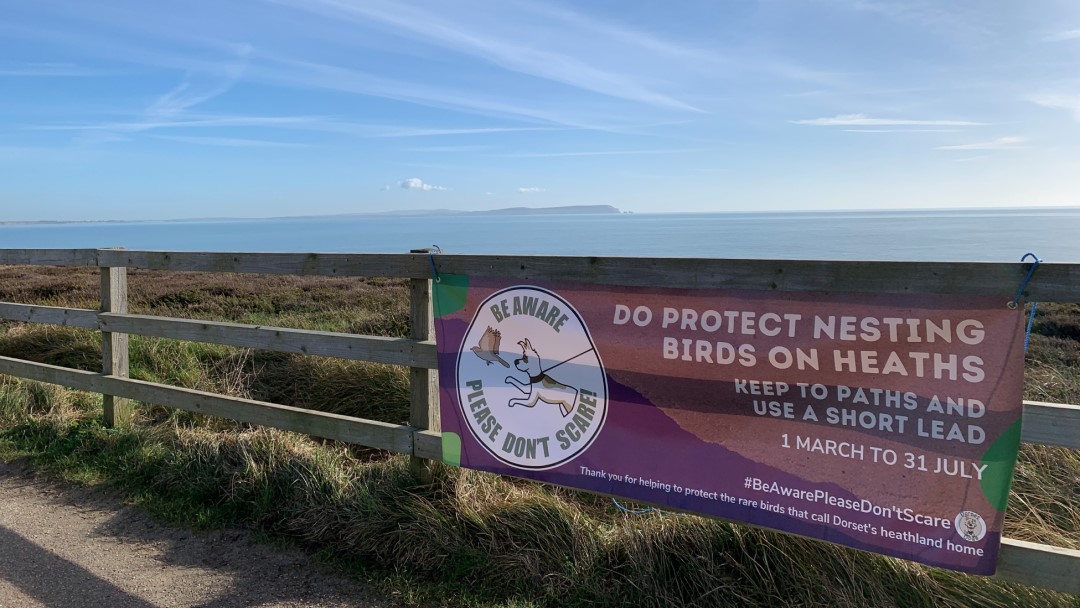 Dorset Dogs - Protecting ground nesting birds