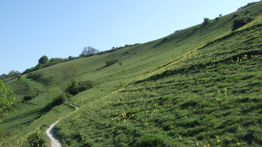 Dorset Open Space Survey