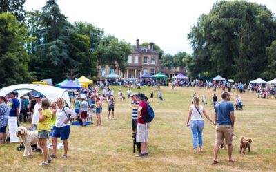 DORSET DOGS FESTIVAL 2018