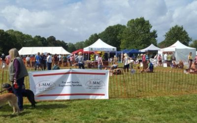 Dorset Dogs Festival 2019