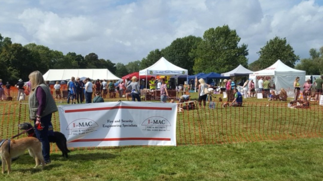 Dorset Dogs Festival 2019