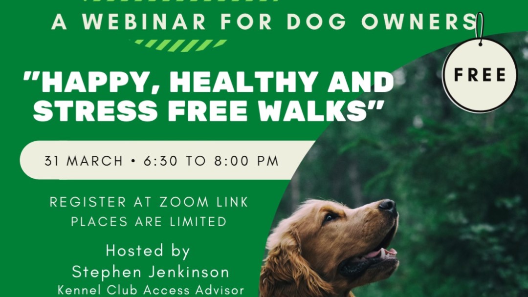 Happy Healthy Stress Free Walks
