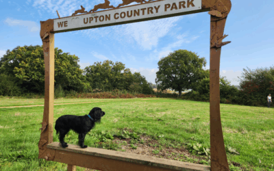 End of summer review