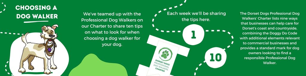 Top Tips for Choosing a Dog Walker